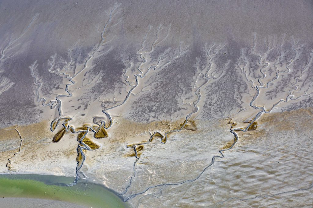 Wattlandschaft aus der Vogelperspektive. Ein Priel mit grünem Wasser und weitverzweigte kleine Zuflüsse durchziehen die Landschaft.