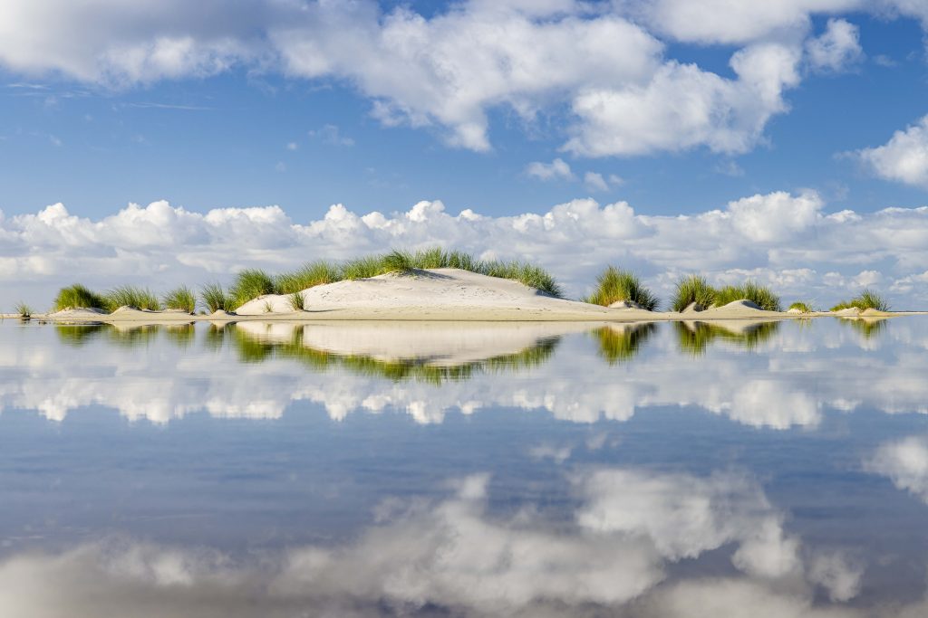 Eine weiße Sanddüne bewachsen mit grünen Pflanzen vor hellblauem Himmel mit weißen Wolkenformationen. In der unteren Hälfte ist das Bild im ruhigen Wasser perfekt gespiegelt.